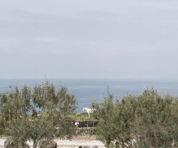 شقة Phaos At Saint John With Private Heated Pool أويا